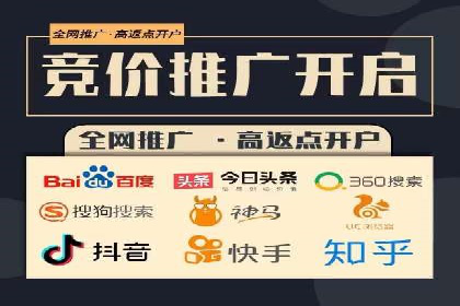 百度SEO推广策略深度解读：某企业网络营销的胜利之路